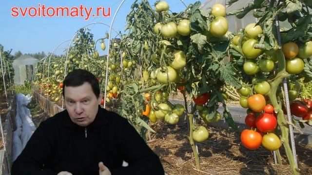 Светодиодная подсветка рассады – эфир от 15.03.17 смотреть онлайн