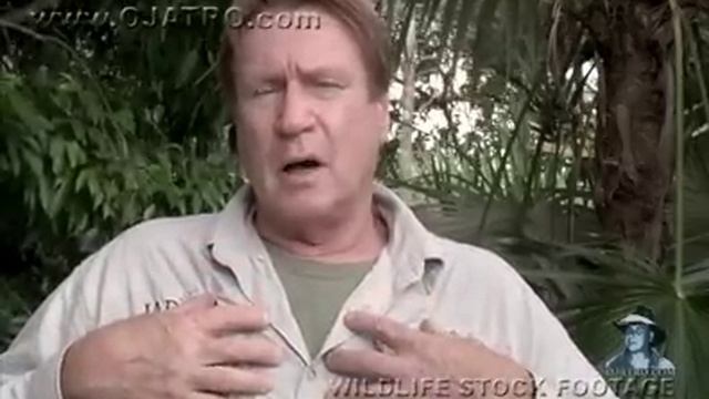 Black Mambas 02, Mamba vs Humans смотреть онлайн