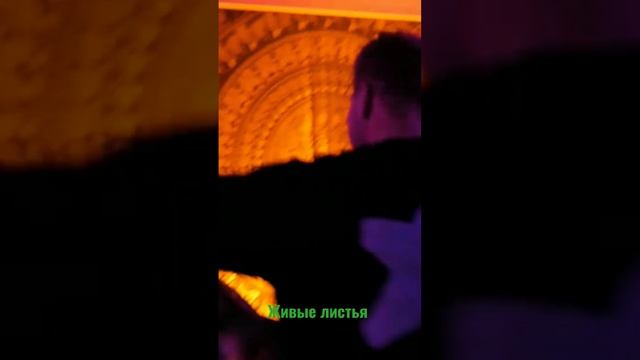 Чайные, костюмированные вечеринки!