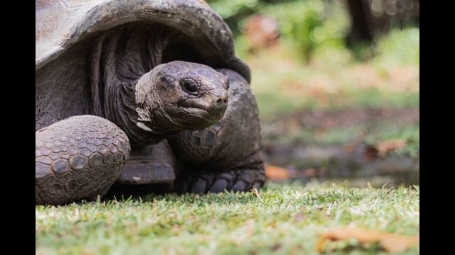Мастерство и Талантливое Творение