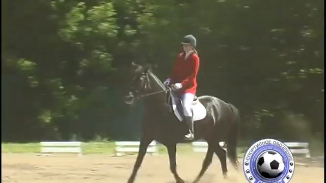 Турнир по выездке смотреть онлайн