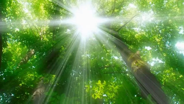 1 день. Медитация Изобилия. смотреть онлайн