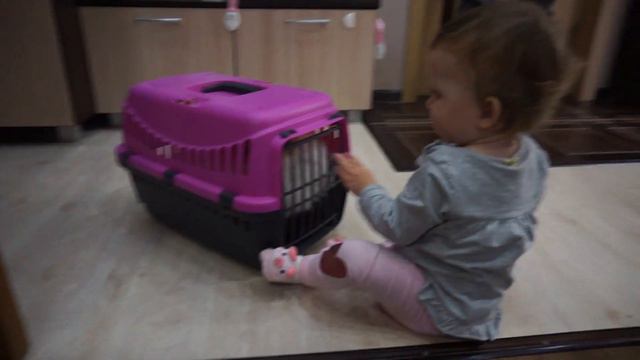 евочка провожает боню на стерилизацию смотреть онлайн