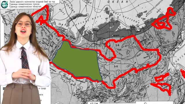 Тайга. Климат тайги. Особенности тайги.