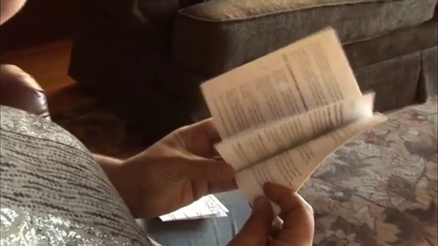 Out of the Box Dog Training Game смотреть онлайн