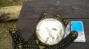 КОНСЕРВНЫЕ БАНКИ В МЕТАЛЛОЛОМ. ПОИСК МЕТАЛЛА БЕЗ МЕТАЛЛОИСКАТЕЛЯ. КАК ЗАРАБОТАТЬ НА МЕТАЛЛОЛОМЕ