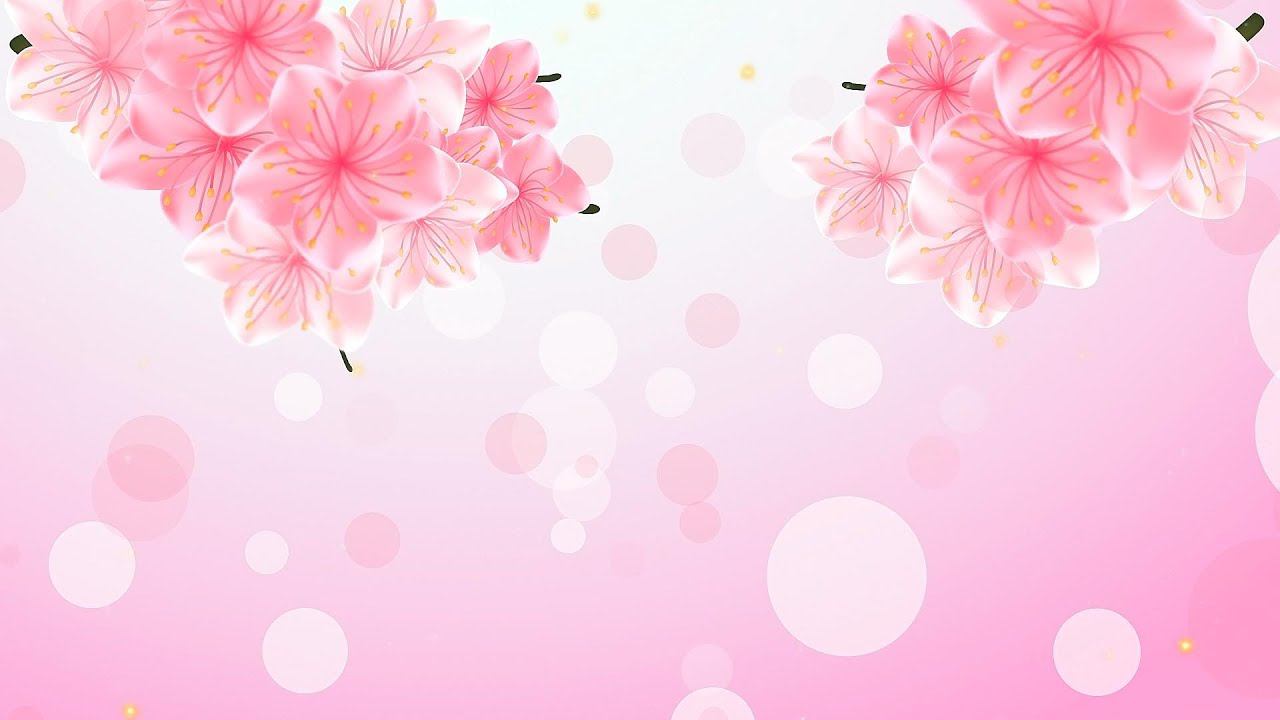Розовый фон цветы для видео монтажа. Живые обои. Анимация. Бесплатные футажи для видеомонтажа. смотреть онлайн