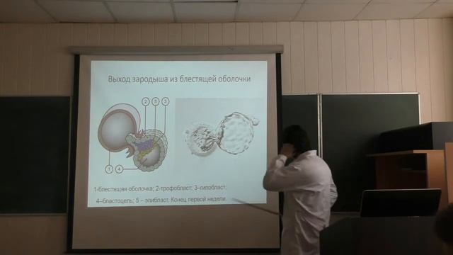 Биология. Человек. Цитология и гистология. Развитие высших хордовых