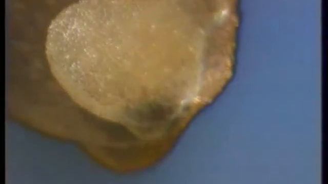 Потрясающие лихие 90-е: волокна вион смотреть онлайн