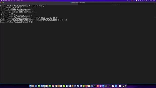 03-Lưu trữ SQL Server Database với Docker Volume смотреть онлайн