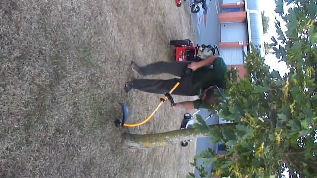 PLT 2543Y 25CC PETROL STRIMMER GOOD WORKING ORDER смотреть онлайн