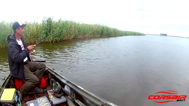 KVH perch смотреть онлайн