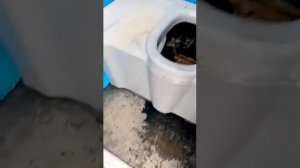 Парень спрятался в биотуалете