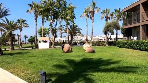 PALOMA ORENDA TURKEY