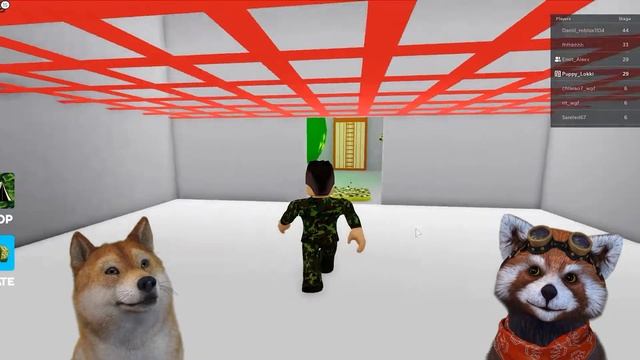 Новый и лекгий ПАРКУР ОББИ 2021 года в РОБЛОКС. Побег с военной подготовки. Escape Obby ROBLOX. смотреть онлайн