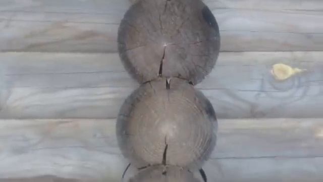 ▲ Как дураки кредитуют строительные фирмы под 0% годовых. смотреть онлайн