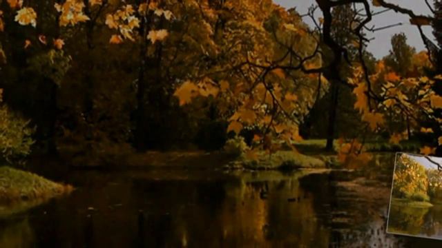 Драгоценная ты моя женщина.mp4 смотреть онлайн