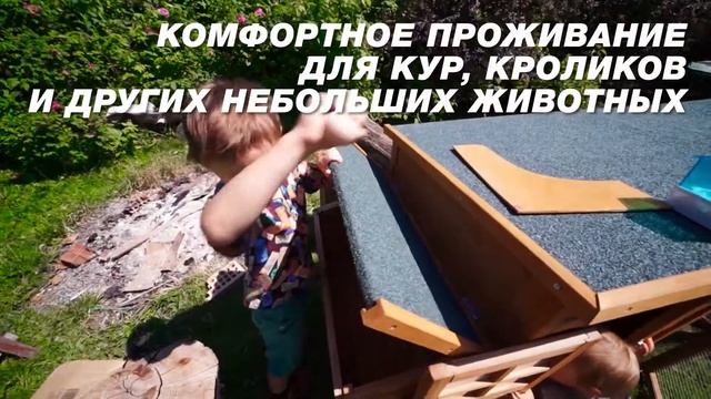 КУРрорт - супер увлечение для всей семьи! Выводите цыплят и выращивайте кур несушек с нами! смотреть онлайн
