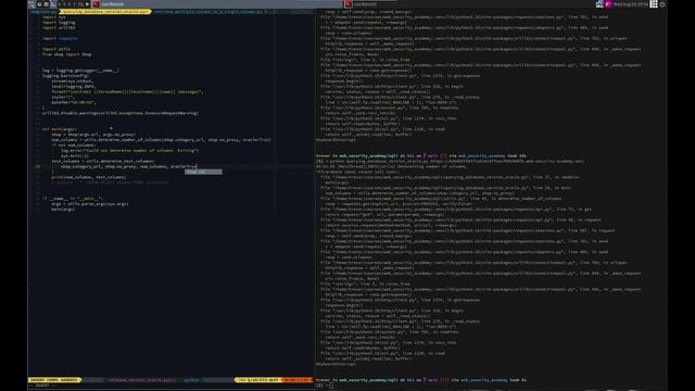 Web Security Academy | SQLi | 7 - Querying Database Version Oracle смотреть онлайн