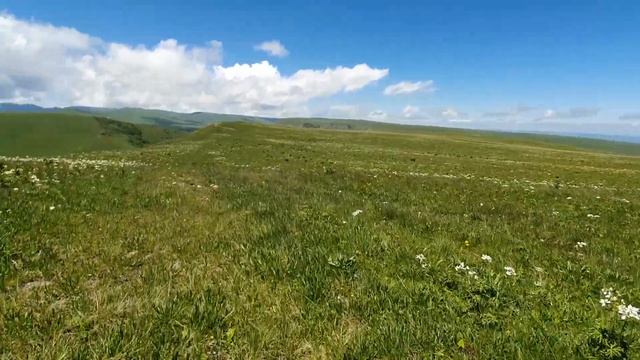 Прогуляемся в поле Анемонов...Грибной сезон НЕ закрыт))) Погодка радует! смотреть онлайн