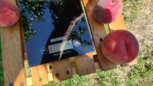 Персик Фреш Вайт/Fresh White® 24.07.2023