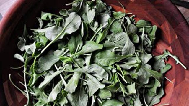 Сборник рецептов