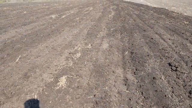 Обзор на культиваторы в работе: "МТЗ-82 с КПГ-4.5", "ЮМЗ-6 с КПС-3,2" | Сотни тонн влаги вывернуты смотреть онлайн