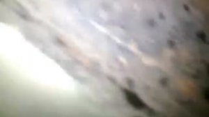 Двигатель 417. Стук в двигателе. Что стучит?