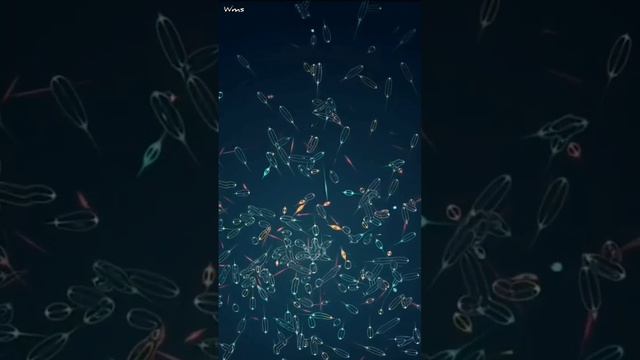 Finally found life on another planet || Found life on k2 18b. смотреть онлайн