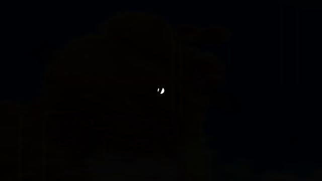 Incredible Aquarium 4K ? Sea Animals for Relaxation & Relaxing Music - 4K Video смотреть онлайн