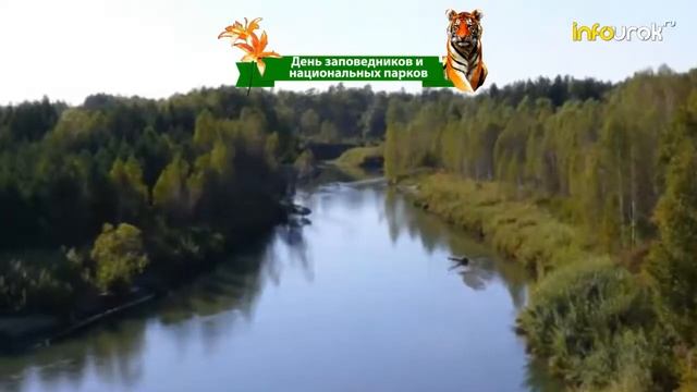 День заповедников и национальных парков | Праздники #21 | Инфоурок смотреть онлайн