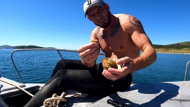 Вышли в море. Морские ежи, осьминоги, ракушки и окуня. смотреть онлайн