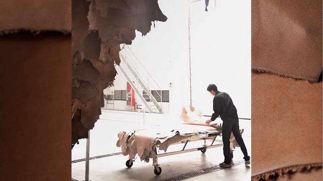 ECCO- Waterproofing Technology