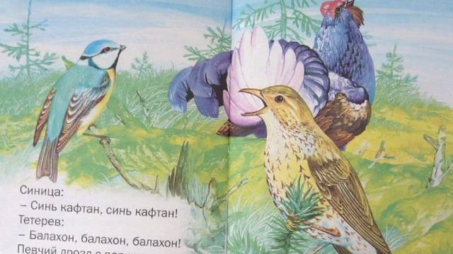 буктрейлер бианки смотреть онлайн