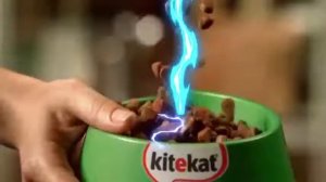 Kitekat  Еда энергичных кошек 3
