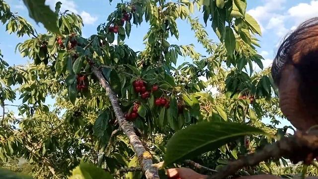 как удвоить интерес смотреть онлайн