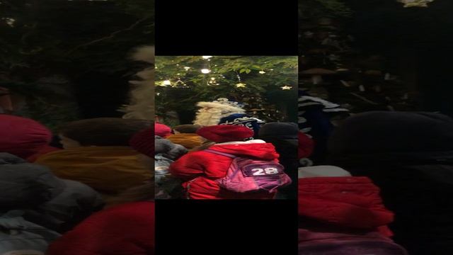 Усадьба Деда Мороза 1505 смотреть онлайн