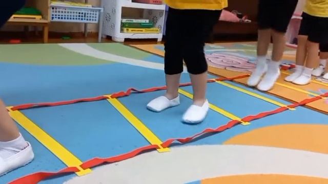 Консультация "Координационная лестница" (Демидова Я.А.) смотреть онлайн