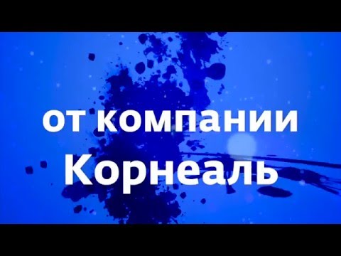 Акция 'Товар недели' с 21 по 27 декабря смотреть онлайн