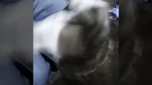 Притирка распределительной шайбы аксиально поршневого гидронасоса