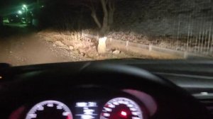 Лампы Osram Night Breaker 200+ H7