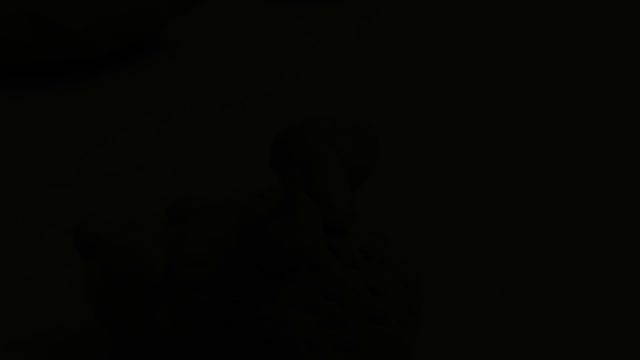 Лепим из глины котика и ежика / Sculpt cat and hedgehog смотреть онлайн