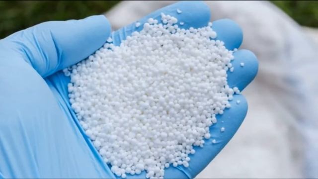 КОЛЬРАБИ БЕЛЫЙ ГИГАНТ - ПОЗДНЕСПЕЛЫЙ КРУПНЫЙ С ДЛИТЕЛЬНЫМ ХРАНЕНИЕМ СОРТ смотреть онлайн