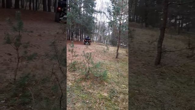 TGB Blade 1000 LTX.Premium смотреть онлайн