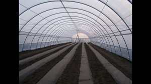 Разбираем теплицы, как сделать своими руками круглогодичную теплицу (Зимнею теплицу)