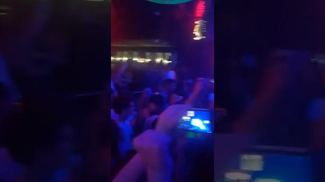 The groovy cat - Pawsa (Zef, Buenos Aires 9/6/2019) смотреть онлайн
