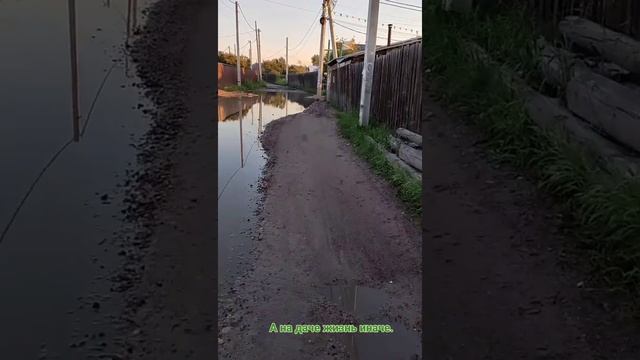 Эх, дороги. Последствия грозы. смотреть онлайн