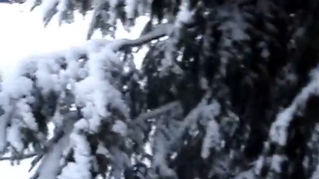 TEAM BLUE SHARPEY смотреть онлайн