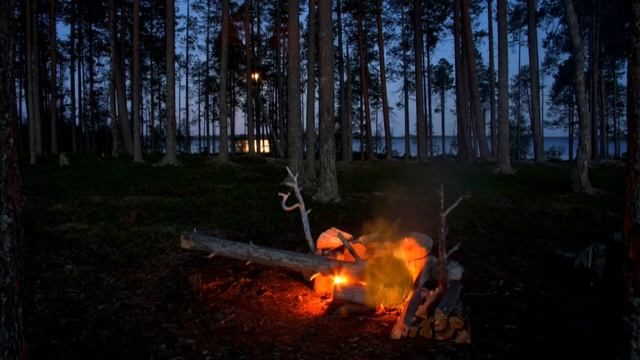 Звуки природы Костер в лесу Потрескивание костра Пение птиц Sounds of nature Bonfire in the forest смотреть онлайн