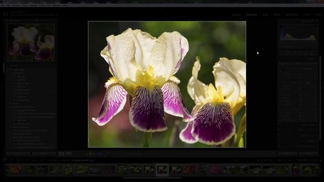 Lightroom Tip: Lights Out смотреть онлайн